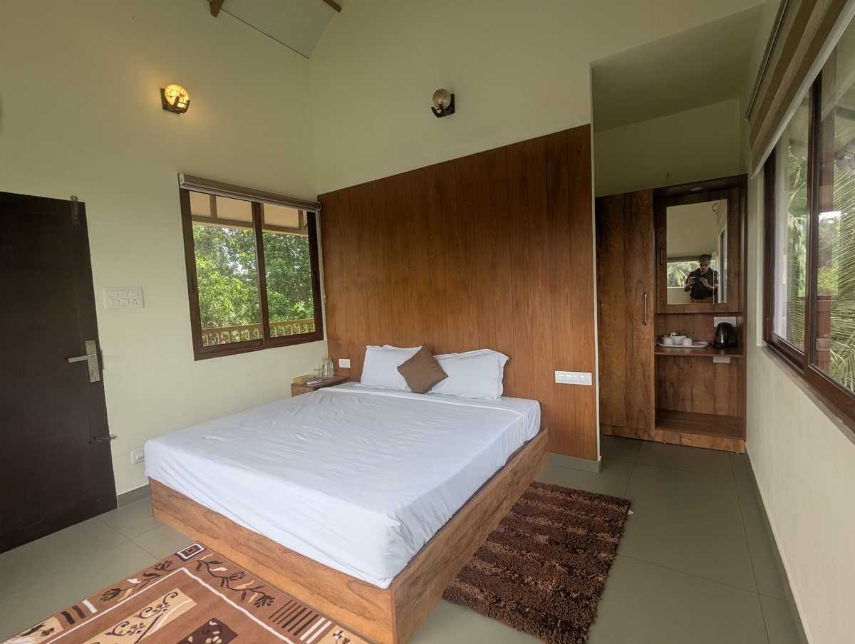 Inside a tree house: a wide bed against a timber panel, with windows on two sides.